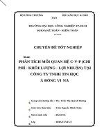 Phân tích mối quan hệ c v p (chi phí   khối lượng   lợi nhuận) tại công ty TNHH tin học á đông vi na 