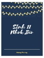 Câu hỏi Sinh 11-Nhận biết-Thông Hiểu