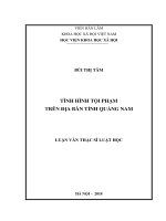 Tình hình tội phạm trên địa bàn tỉnh quảng nam ( Luận văn thạc sĩ)