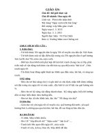 Giáo án PTNT: Mùa xuân trên bản làng