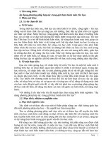 Áp dụng phương pháp hợp tác trong giờ thực hành môn Tin học