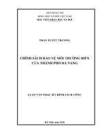 Chính sách bảo vệ môi trường biển của Thành phố Đà Nẵng