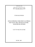 Áp dụng hình phạt theo pháp luật hình sự Việt Nam từ thực tiễn quận Tân Phú, thành phố Hồ Chí Minh