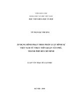 Áp dụng hình phạt theo pháp luật hình sự việt nam từ thực tiễn quận tân phú, thành phố hồ chí minh 