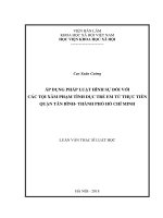 Áp dụng pháp luật hình sự đối với các tội xâm phạm tình dục trẻ em từ thực tiễn quận Tân Bình, thành phố Hồ Chí Minh