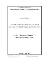 Giải pháp thúc đẩy tiêu thụ sản phẩm tại công ty cổ phần dược phẩm vĩnh phúc ( Luận văn thạc sĩ)