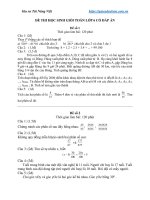 Đề thi học sinh giỏi lớp 6 có đáp án 