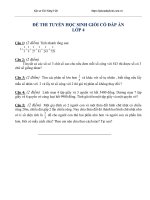 Đề thi học sinh GIỏi môn toán lớp 4 có đáp án 