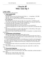 Tài liệu toán lớp 3 chuyên đề môn toán lớp 3 