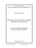 Giải pháp tái cơ cấu công ty cổ phần than hà lầm   quảng ninh ( Luận văn thạc sĩ)
