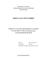 NGHIÊN CỨU TÁC NHÂN PHYTOPHTHORA VÀ PYTHIUM GÂY HẠI TRÊN CÂY HOA LÀI (Jasminum spp.)  TẠI THÀNH PHỐ HỒ CHÍ MINH 