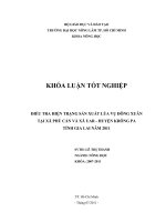  ĐIỀU TRA HIỆN TRẠNG SẢN XUẤT LÚA VỤ ĐÔNG XUÂN  TẠI XÃ PHÚ CẦN VÀ XÃ UAR  HUYỆN KRÔNG PA  TỈNH GIA LAI NĂM 2011 