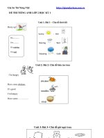 Ôn tập tiếng anh lớp 2 học kỳ 1 