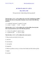 Đề kiểm tra giữa học kỳ 1 môn tiếng anh lớp 12 