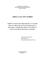 NGHIÊN CỨU MỘT SỐ ĐẶC ĐIỂM SINH HỌC VÀ XÁC ĐỊNH   HIỆU LỰC PHÒNG TRỪ SÂU ĐỤC NÕN Hellula undalis F. (PYRALIDEA  LEPIDOPTERA) TRÊN CÂY CẢI THÌA CỦA  MỘT SỐ LOẠI THUỐC THẢO MỘC VÀ SINH HỌC     