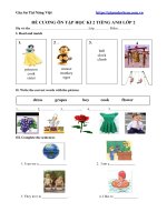 Đề cương ôn tập học kì 2 tiếng anh lớp 2 