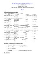 Đề kiểm tra học kỳ 1 tiếng anh lớp 8 