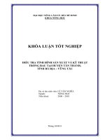 ĐIỀU TRA TÌNH HÌNH SẢN XUẤT VÀ KỸ THUẬTTRỒNG RAU TẠI HUYỆN TÂN THÀNH,  TỈNH BÀ RỊA – VŨNG TÀU 