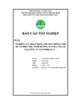 “NGHIÊN CỨU HOẠT ĐỘNG TRUYỀN THÔNG CHO DỰ ÁN BIỆT THỰ NGHỈ DƯỠNG ACENZA VILLAS  TẠI CÔNG TY SACOMREALS  “    