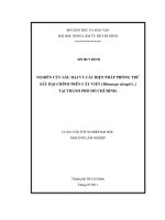 NGHIÊN CỨU SÂU HẠI VÀ CÁC BIỆN PHÁP PHÒNG TRỪSÂU HẠI CHÍNH TRÊN CÂY VIẾT (Mimusops elengii L.)   TẠI THÀNH PHỐ HỒ CHÍ MINH. 
