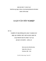 NGHIÊN CỨU BỌ TRĨ HẠI DƯA HẤU VÀ KHẢO SÁT HIỆU QUẢ PHÒNG TRỪ CHÚNG BẰNG MỘT SỐ   LOẠI THUỐC BẢO VỆ THỰC VẬT TẠI HUYỆN CẦN ĐƯỚC – LONG AN 
