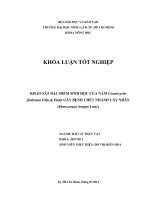 KHẢO SÁT ĐẶC ĐIỂM SINH HỌC CỦA NẤM Ceratocystis fimbriata Ellis  Halst GÂY BỆNH CHẾT NHÁNH CÂY NHÃN  (Dimocarpus longan Lour) 