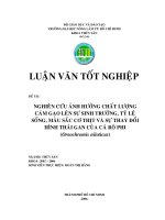 NGHIÊN CỨU ẢNH HƯỞNG CHẤT LƯỢNG CÁM GẠO LÊN SỰ SINH TRƯỞNG, TỶ LỆ SỐNG, MÀU SẮC CƠ THỊT VÀ SỰ THAY ĐỔI HÌNH THÁI GAN CỦA CÁ RÔ PHI (Oreochromis niloticus)