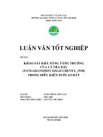 KHảO ST KHẢ NĂNG TANG TRƯỞNG CỦA CÁ TRA DẦU (PANGASIANODON GIGAS CHEVEY, 1930) TRONG ĐIỀU KIỆN NUÔI AO ĐẤT