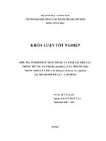 ĐIỀU TRA TÌNH HÌNH SỬ DỤNG THUỐC VÀ ĐÁNH GIÁ HIỆU LỰC PHÒNG TRỪ SÂU TƠ (Plutella xylostella L.) CỦA MỘT SỐ LOẠI  THUỐC TRÊN CÂY BẮP CẢI (Brassica oleracea var. capitata) TẠI THÀNH PHỐ ĐÀ LẠT – LÂM ĐỒNG   