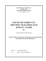 Tiểu luận môn phân tích chính sách kinh tế xã hội mới nhất