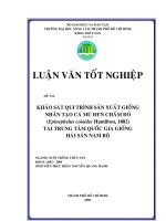 KHẢO SÁT QUI TRÌNH SẢN XUẤT GIỐNG NHÂN TẠO CÁ MÚ ĐEN CHẤM ĐỎ (Epinephelus coioides Hamilton, 1882) TẠI TRUNG TÂM QUỐC GIA GIỐNG HẢI SẢN NAM BO