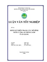 KHẢO SÁT HIỆN TRẠNG CÁC MÔ HÌNH NUÔI CÁ TRA AO THÂM CANH Ở AN GIANG