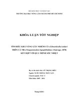 TÌM HIỂU KHẢ NĂNG GÂY NHIỂM CỦA Edwardsiella ictaluri TRÊN CÁ TRA Pangasianodon hypophthalmus (Sauvage, 1878) KẾT HỢP VỚI QUÁ TRÌNH SỐC NHIỆT
