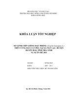 SO SÁNH CHÍN GIỐNG ĐẬU PHỘNG (Arachis hypogaea L.)   TRÊN VÙNG ĐẤT CÁT PHA TẠI XÃ NGŨ LẠC, HUYỆN DUYÊN HẢI, TỈNH TRÀ VINH  VỤ XUÂN HÈ 2011 