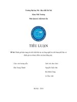 BÀI TIỂU LUẬN: Đánh giá hiện trạng tái chế chất thải tại các làng nghề tái chế nhựa phế liệu và đánh giá ưu nhược điểm của hoạt động này .