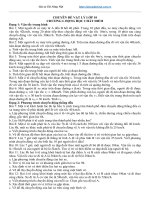 Chuyên đề vật lý 10 