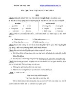 Bài tập tiếng việt nâng cao lớp 3 