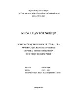 NGHIÊN CỨU SỰ PHÁT TRIỂN VÀ TỒN TẠI CỦA RUỒI ĐỤC QUẢ Bactrocera correcta Bezzi   (DIPTERA: TEPHRITIDAE) Ở BỐN MỨC NHIỆT ĐỘ KHÁC NHAU 