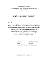 ĐIỀU TRA DIỄN BIẾN BỆNH MỐC SƯƠNG CÀ CHUA (Phytophthora infestans (Mont.) de Bary) VÀ KHẢO SÁT  HIỆU LỰC PHÒNG TRỪ BỆNH CỦA MỘT SỐ THUỐC HÓA HỌC, SINH HỌC TẠI HUYỆN  ĐƠN DƯƠNG TỈNH LÂM ĐỒNG 