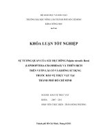 SỰ TƯƠNG QUAN CỦA SÂU ĐỤC BÔNG Palpita vitrealis Rossi (LEPIDOPTERA:CRAMBIDAE) VÀ THIÊN ĐỊCH  TRÊN VƯỜN LÀI CÓ VÀ KHÔNG SỬ DỤNG THUỐC BẢO VỆ THỰC VẬT TẠI  THÀNH PHỐ HỒ CHÍ MINH 