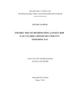    TÌM HIỂU MỘT SỐ MÔ HÌNH NÔNG LÂM KẾT HỢP  Ở ẤP 3 XÃ HIẾU LIÊM HUYỆN VĨNH CỬU   TỈNH ĐỒNG NAI    