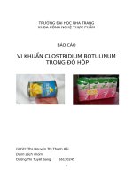 VI KHUẨN CLOSTRIDIUM BOTULINUM TRONG đồ hộp 