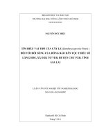   TÌM HIỂU VAI TRÒ CỦA CÂY LE (Bambusa agrostis Poiret ) ĐỐI VỚI ĐỜI SỐNG CỦA ĐỒNG BÀO DÂN TỘC THIỂU SỐ  LÀNG HDE, XÃ ĐĂK TƠ VER, HUYỆN CHƯ PĂH, TỈNH GIA LAI   