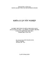   LẬP BIỂU THỂ TÍCH CÂY ĐỨNG CHO LOÀI CAO SU  Hevea brasiliensis Muell.  Arg) TRỒNG TẠI NÔNG TRƯỜNG  CAO SU CÙ BỊ, HUYỆN CHÂU ĐỨC, TỈNH BÀ RỊA VŨNG TÀU   
