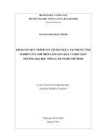   KHẢO SÁT QUY TRÌNH SẤY GỖ DÁI NGỰA TẠI TRUNG TÂM NGHIÊN CỨU CHẾ BIẾN LÂM SẢN GIẤY VÀ BỘT GIẤY  TRƯỜNG ĐẠI HỌC NÔNG LÂM TP.HỒ CHÍ MINH    