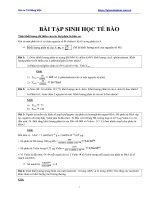Tài liệu môn sinh lớp 10 công thức và bài tập tự luận sinh học tế bào 