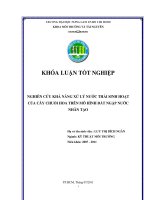 NGHIÊN CỨU KHẢ NĂNG XỬ LÝ NƯỚC THẢI SINH HOẠT CỦA CÂY CHUỐI HOA TRÊN MÔ HÌNH ĐẤT NGẬP NƯỚC   NHÂN TẠO 