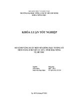   SO SÁNH NĂNG SUẤT MỘT SỐ GIỐNG ĐẬU TƯƠNG CÓ  TIỀM NĂNG Ở HUYỆN CƯ JÚT, TỈNH ĐĂK NÔNG   VỤ HÈ THU 