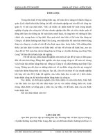 báo cáo tốt nghiệp kế toán bán hàng và xác định kết quả kinh doanh Công ty cổ phần thương mại thép Trần Long