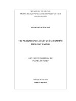 THỬ NGHIỆM ĐÁNH GIÁ KẾT QUẢ NHUỘM MÀU TRÊN GIẤY CARTON